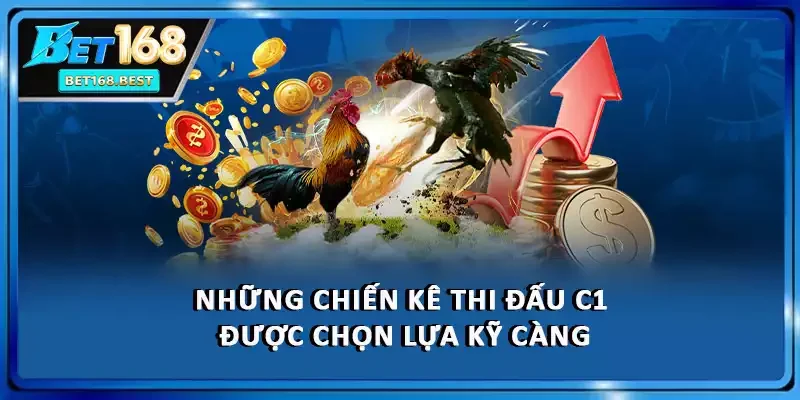Những chiến kê thi đấu C1 được chọn lựa kỹ càng Những chiến kê thi đấu C1 được chọn lựa kỹ càng
