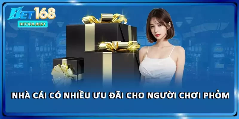 Nhà cái có nhiều ưu đãi cho người chơi phỏm Nhà cái có nhiều ưu đãi cho người chơi phỏm